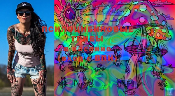 PSILOCYBIN Белоозёрский