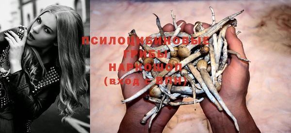 PSILOCYBIN Белоозёрский