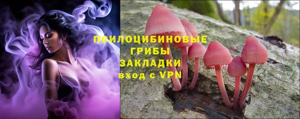 PSILOCYBIN Белоозёрский