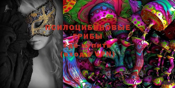 PSILOCYBIN Белоозёрский