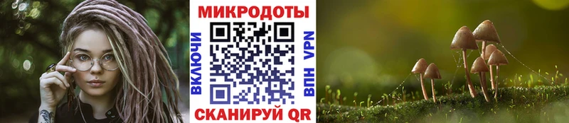 Псилоцибиновые грибы Psilocybine cubensis Вязники